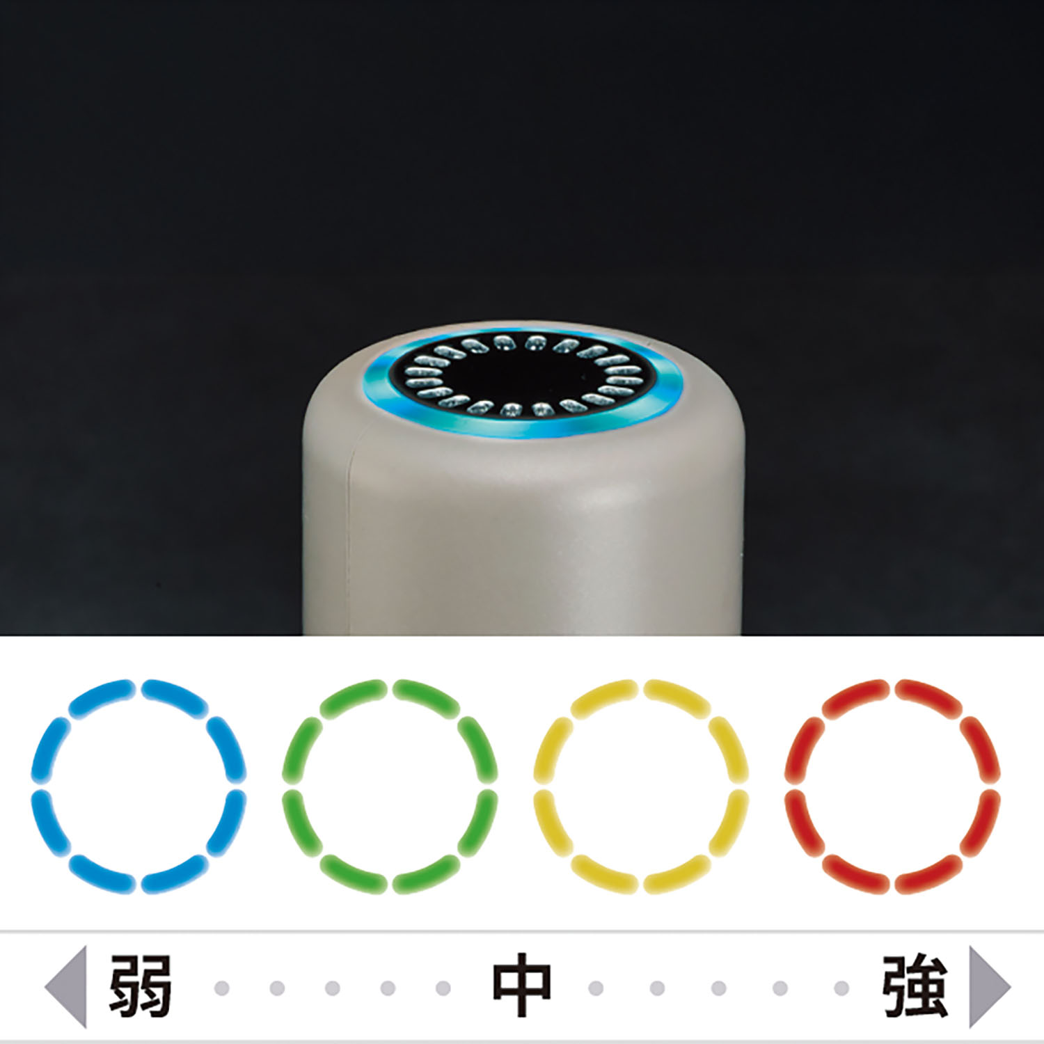 サンセットコーラル